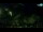 Webcam in Brijuni, 4.2 mi away