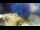 Webcam in Brijuni, 22.7 km entfernt