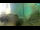 Webcam in Brijuni, 5.3 mi away