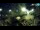 Webcam in Brijuni, 5.3 mi away