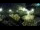 Webcam in Brijuni, 14.2 km entfernt
