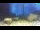 Webcam in Brijuni, 22.7 km entfernt