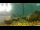Webcam in Brijuni, 9.8 km