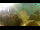 Webcam in Brijuni, 10.8 km entfernt