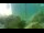 Webcam in Brijuni, 5.6 mi away