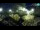 Webcam in Brijuni, 7.7 mi away
