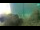 Webcam in Brijuni, 7.7 mi away