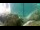Webcam in Brijuni, 7.7 mi away