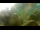 Webcam in Brijuni, 13.8 km entfernt