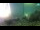 Webcam in Brijuni, 10.7 km