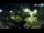 Webcam in Brijuni, 14.6 km