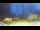 Webcam in Brijuni, 22.7 km
