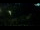 Webcam in Brijuni, 9.7 km