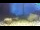 Webcam in Brijuni, 13.8 km entfernt