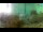 Webcam in Brijuni, 7.7 mi away