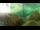 Webcam in Brijuni, 5.6 mi away