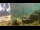 Webcam in Brijuni, 9.4 km