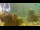 Webcam in Brijuni, 5.3 mi away