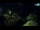 Webcam in Brijuni, 9.8 km