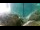 Webcam in Brijuni, 9.8 km