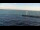 Webcam in South Haven, Michigan, 36 mi away