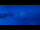 Webcam in Grindelwald, 1.9 mi away