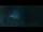 Webcam in Grindelwald, 1.8 mi away