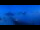 Webcam in Grindelwald, 1.4 mi away