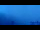 Webcam on the Kleine Scheidegg, 0.9 mi away