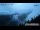 Webcam in Leutasch, 7 km