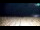 Webcam in Bibione, 0.1 mi away