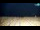 Webcam in Bibione, 2.6 km entfernt