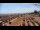 Webcam in Bibione, 2.5 mi away