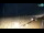 Webcam in Bibione, 5.3 km