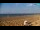 Webcam in Bibione, 0.4 mi away