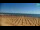 Webcam in Bibione, 2.5 mi away