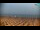 Webcam in Bibione, 0.6 mi away
