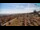 Webcam in Bibione, 0.1 km entfernt