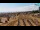 Webcam in Bibione, 2.1 mi away