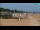 Webcam in Bibione, 2.5 mi away