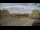 Webcam in Bale, 12.4 km