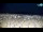 Webcam in Bibione, 1.1 mi away