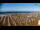 Webcam in Bibione, 3 mi away
