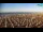 Webcam in Bibione, 11.5 km entfernt