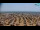 Webcam in Bibione, 0.7 mi away