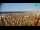 Webcam in Bibione, 10.3 km