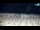 Webcam in Bibione, 2.3 km entfernt