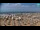 Webcam in Bibione, 11.2 km entfernt