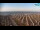 Webcam in Bibione, 3 mi away