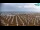 Webcam in Bibione, 0.7 mi away